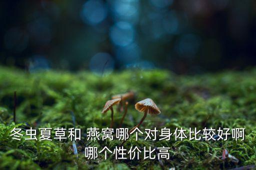 冬虫夏草和 燕窝哪个对身体比较好啊哪个性价比高