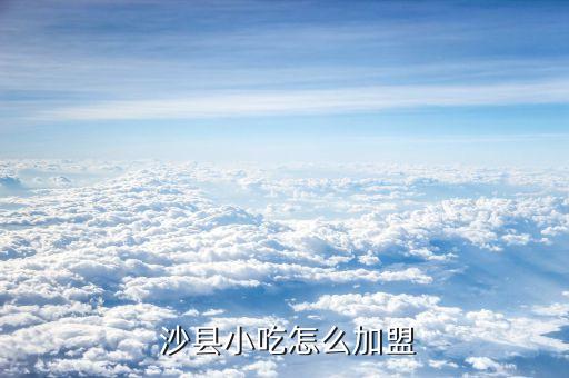 沙县功夫面加盟费,福建沙县加盟费多少钱?