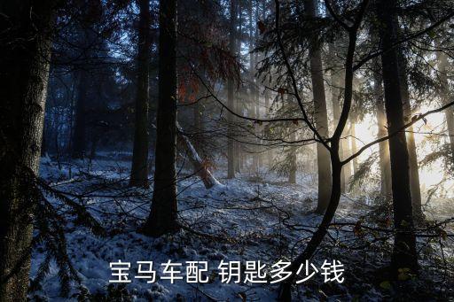 福州液晶钥匙代理加盟费用,康佳液晶钥匙代理加盟