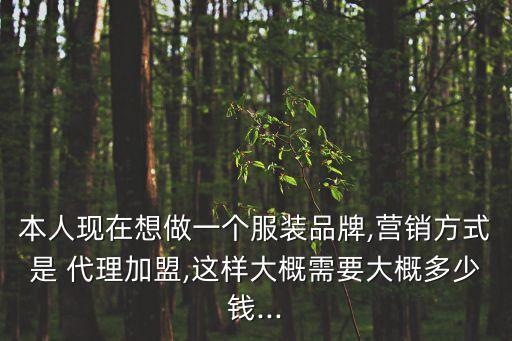 本人现在想做一个服装品牌,营销方式是 代理加盟,这样大概需要大概多少钱...