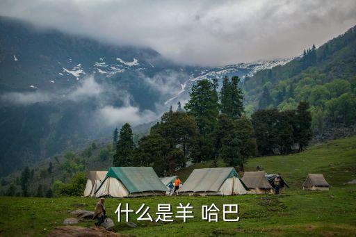 什么是羊 哈巴