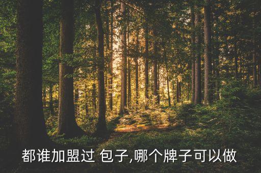 都谁加盟过 包子,哪个牌子可以做