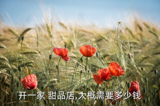 开一家 甜品店,大概需要多少钱