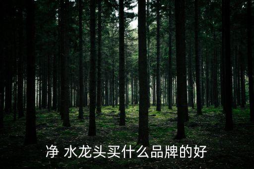 净 水龙头买什么品牌的好