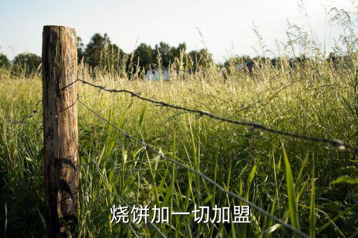  烧饼加一切加盟