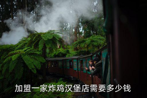 加盟一家炸鸡汉堡店需要多少钱