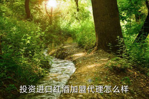 投资进口红酒加盟代理怎么样