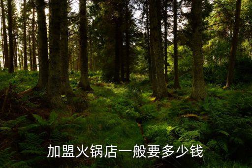 加盟火锅店一般要多少钱