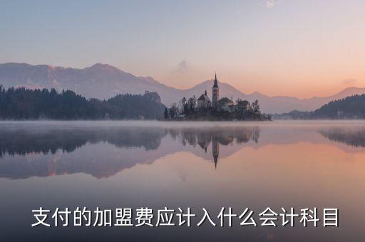  支付的加盟费应计入什么会计科目