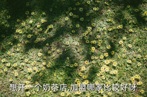 想开一个奶茶店,加盟哪家比较好呀