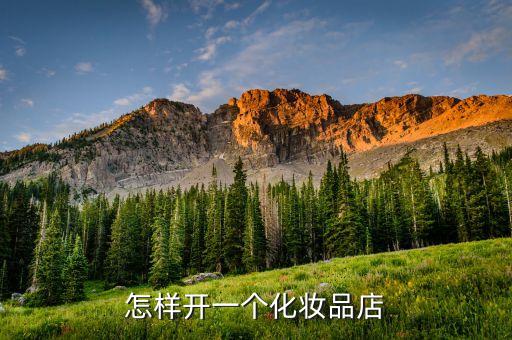 果素堂加盟费用多少,加盟果素堂化妆品