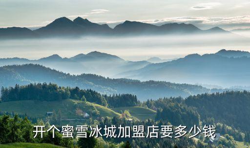 开个蜜雪冰城加盟店要多少钱