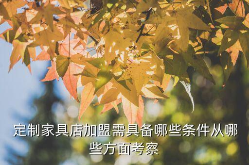  定制家具店加盟需具备哪些条件从哪些方面考察