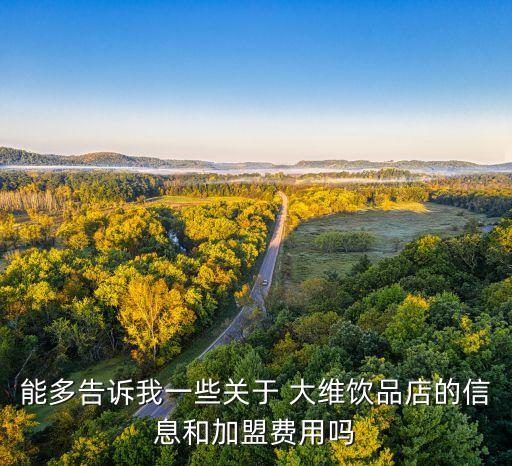 大维加盟费,阳光大维加盟费多少钱