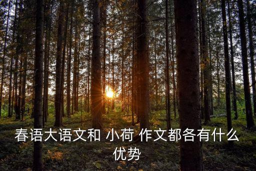杭州小荷作文加盟费多少,小荷作文加盟费作文加盟