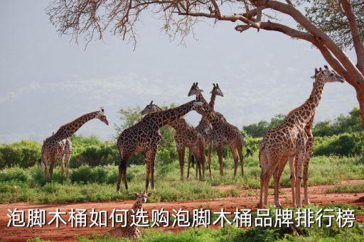 泡脚木桶如何选购泡脚木桶品牌排行榜
