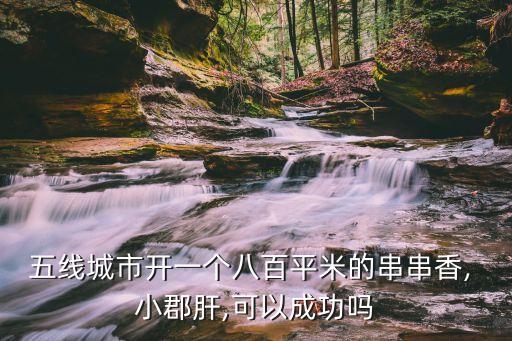 五线城市开一个八百平米的串串香, 小郡肝,可以成功吗