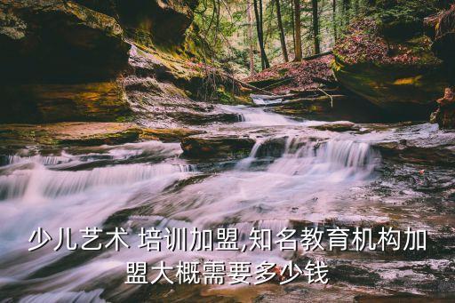 少儿艺术 培训加盟,知名教育机构加盟大概需要多少钱