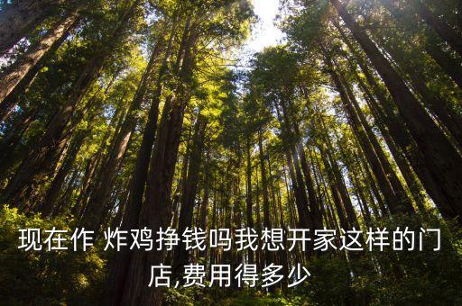 现在作 炸鸡挣钱吗我想开家这样的门店,费用得多少
