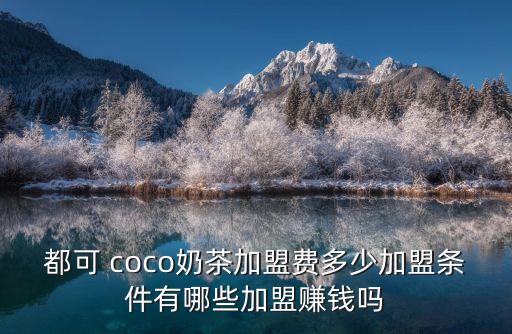 都可 coco奶茶加盟费多少加盟条件有哪些加盟赚钱吗