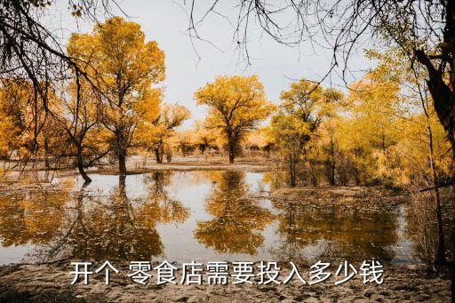 开个 零食店需要投入多少钱