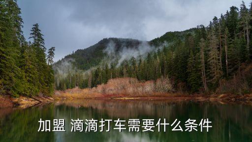 加盟 滴滴打车需要什么条件