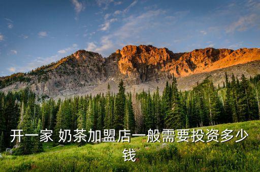 开一家 奶茶加盟店一般需要投资多少钱