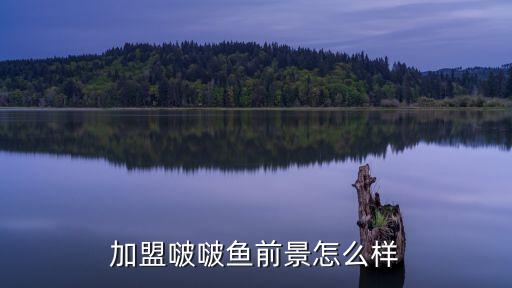 加盟啵啵鱼前景怎么样