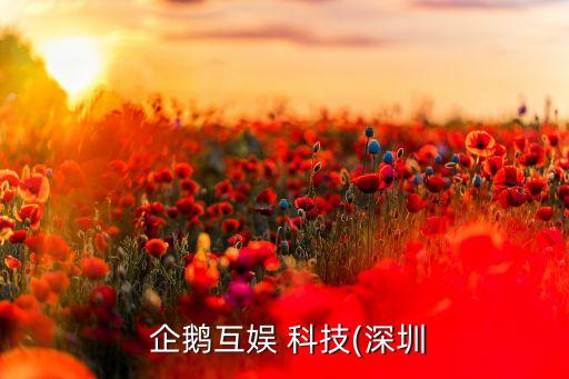 企鹅互娱 科技(深圳