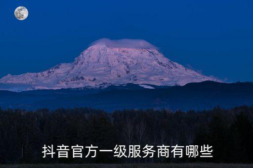  抖音官方一级服务商有哪些