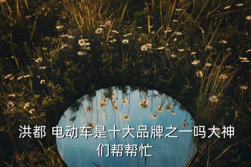 洪都电动加盟费,洪都大拇指加盟费多少钱