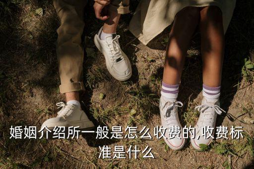 婚姻介绍所一般是怎么收费的,收费标准是什么