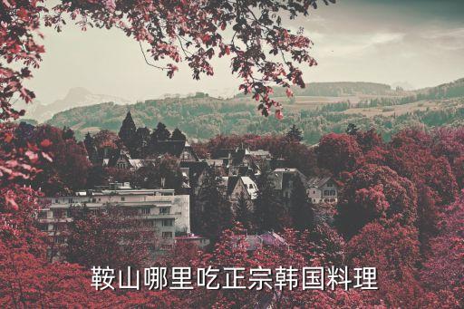  鞍山哪里吃正宗韩国料理