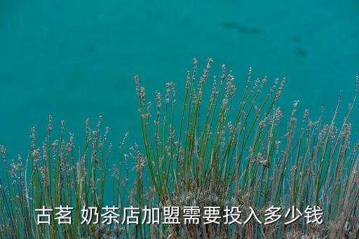奶茶店加盟费及加盟条件表,奶茶加盟店10大品牌加盟费多少