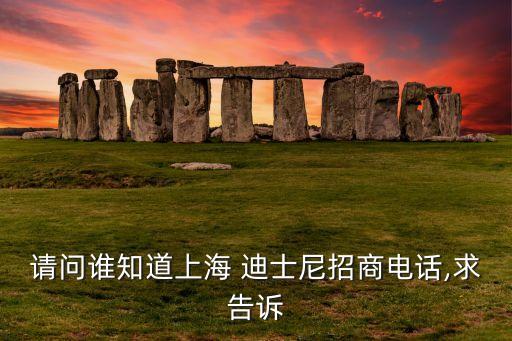 请问谁知道上海 迪士尼招商电话,求告诉