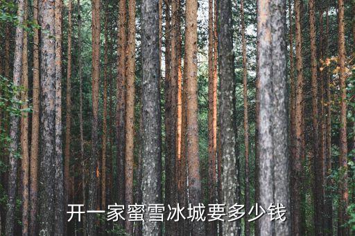 开一家蜜雪冰城要多少钱