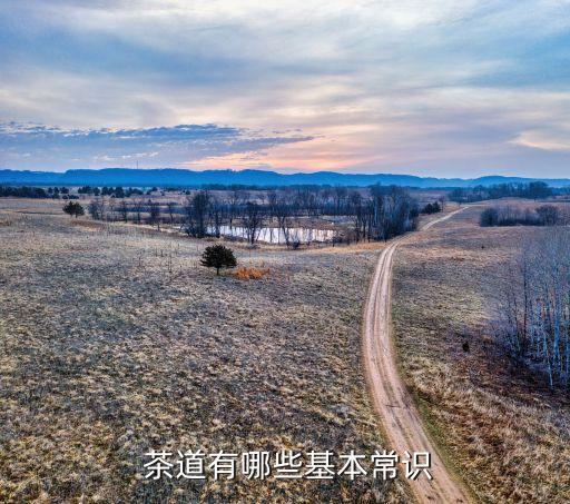  茶道有哪些基本常识