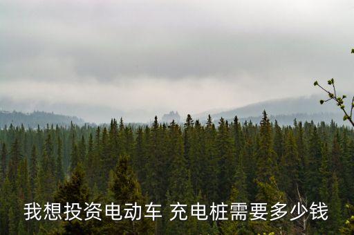 上海充电桩加盟费用多少