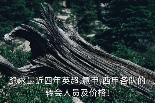 跪求最近四年英超,意甲,西甲各队的转会人员及价格!