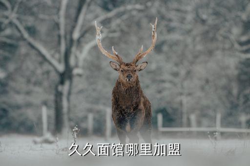 久久面馆哪里加盟