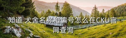 知道 犬舍名称和编号怎么在CKU官网查询