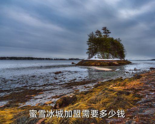 蜜雪冰城加盟需要多少钱