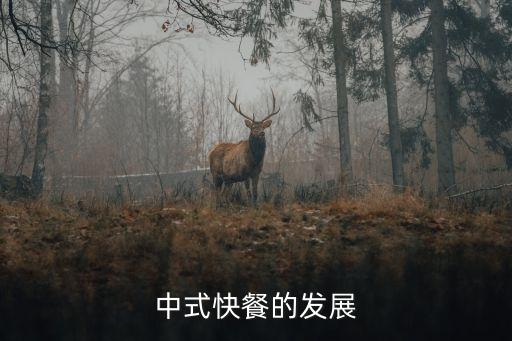 中式快餐的发展