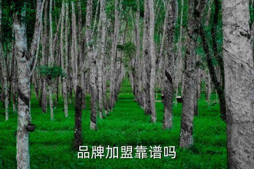 品牌加盟靠谱吗