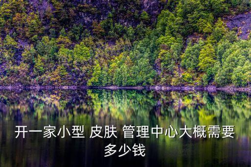 开一家小型 皮肤 管理中心大概需要多少钱