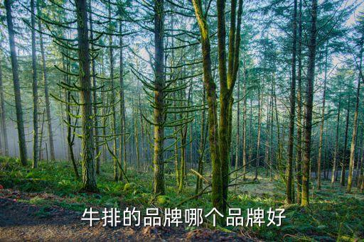  牛排的品牌哪个品牌好
