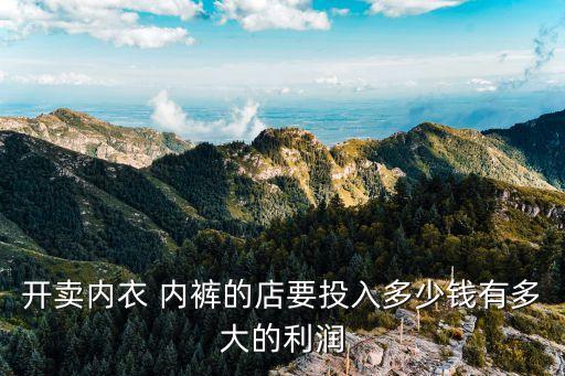 开卖内衣 内裤的店要投入多少钱有多大的利润