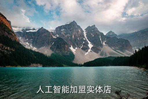 人工智能加盟实体店