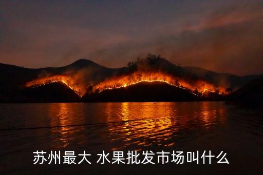 苏州最大 水果批发市场叫什么