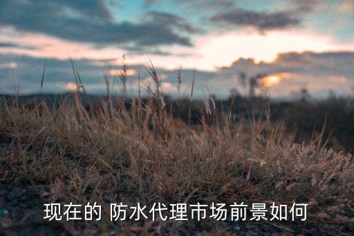 现在的 防水代理市场前景如何